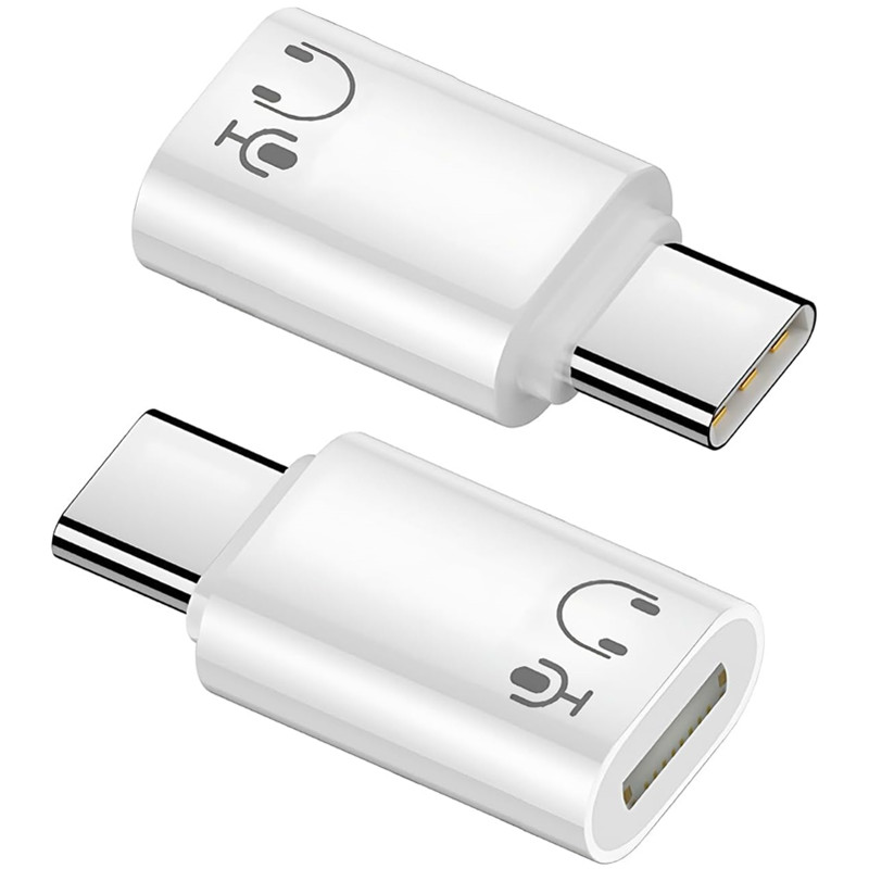 Travel Plug Type C - iPhone 17 16 15 Pro Max、iPad、MacBook用Lightning（メス）-Type